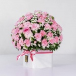 جعبه گل میخک داوودی صورتی (9)