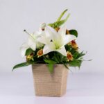 جعبه گل کنفی اورینتال (11)