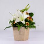 جعبه گل کنفی اورینتال (12)