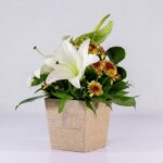 جعبه گل کنفی اورینتال (13)