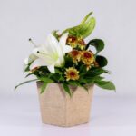 جعبه گل کنفی اورینتال (14)