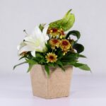 جعبه گل کنفی اورینتال (15)