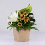 جعبه گل کنفی اورینتال (16)