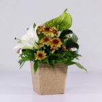 جعبه گل کنفی اورینتال (17)