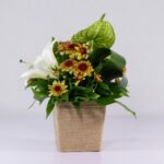 جعبه گل کنفی اورینتال (18)