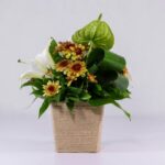 جعبه گل کنفی اورینتال (19)