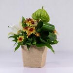 جعبه گل کنفی اورینتال (20)