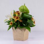 جعبه گل کنفی اورینتال (21)