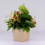 جعبه گل کنفی اورینتال (22)