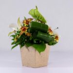 جعبه گل کنفی اورینتال (23)