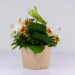 جعبه گل کنفی اورینتال (24)