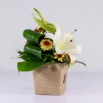 جعبه گل کنفی اورینتال (29)