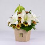 جعبه گل کنفی اورینتال (3)