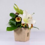 جعبه گل کنفی اورینتال (30)