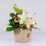 جعبه گل کنفی اورینتال (31)