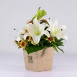 جعبه گل کنفی اورینتال (6)