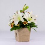 جعبه گل کنفی اورینتال (8)