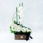 جعبه گل ترحیم ارکیده سفید- گلفروشی آنلاین VIP Shop