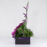 جعبه گل آنتوریوم ارکیده(10)