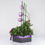 جعبه گل آنتوریوم ارکیده(15)