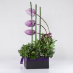 جعبه گل آنتوریوم ارکیده(18)