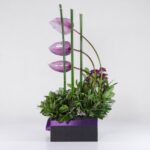 جعبه گل آنتوریوم ارکیده(19)