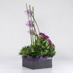 جعبه گل آنتوریوم ارکیده(25)