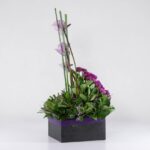 جعبه گل آنتوریوم ارکیده(26)