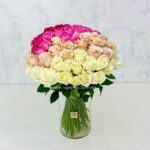 سرخابی حس سرزندگی دارد و رز نباتی حس آرامش.