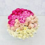 طیف رنگی نباتی و صورتی حس لطافت دارد.