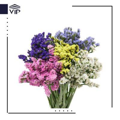 گل استاتیس - گلفروشی آنلاین VIP Shop