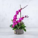 باکس گل شیشه‌ای ارکیده- گلفروشی آنلاین VIP Shop