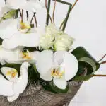 جام گل پایه دار مصری ارکیده سفید - گلفروشی آنلاین VIP Shop