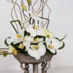 جام گل پایه دار مصری ارکیده سفید- گلفروشی آنلاین VIP Shop