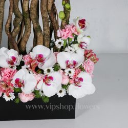 باکس گل لاکچری ارکیده داوودی - گلفروشی آنلاین VIP Shop