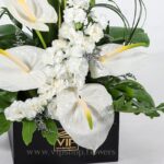 جعبه گل ترحیم آنتوریوم و میخک درشت - گلفروشی آنلاین VIP Shop