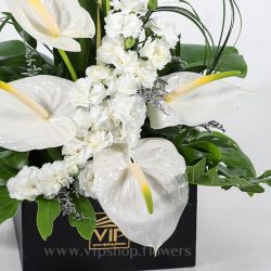 جعبه گل ترحیم آنتوریوم و میخک درشت - گلفروشی آنلاین VIP Shop