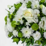 گل رز سفید برای تمام مراسمات مناسب است.