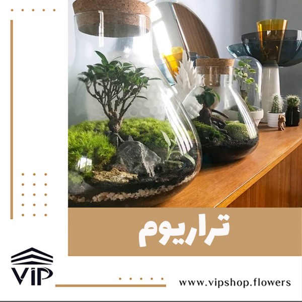 تراریوم بسته برای حمام و دستشویی