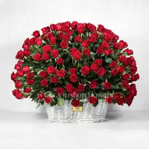 سبد گل K123 260 شاخه ای رز قرمز هلندی - گلفروشی آنلاین VIP Shop