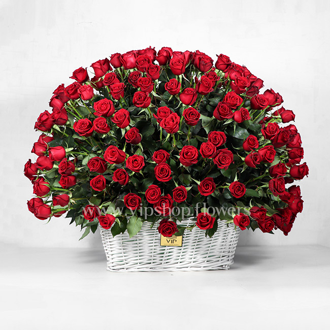 سبد گل 260 شاخه ای رز قرمز هلندی - گلفروشی آنلاین VIP Shop