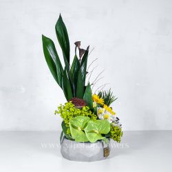 جعبه گل سیمانی آفتابگردان - گلفروشی آنلاین VIP Shop