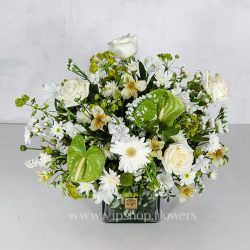 جعبه گل شیشه ای رز آنتوریوم مربعی - گلفروشی آنلاین VIP Shop