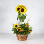 سبد گل K122 فانتزی گرد آفتابگردان - گلفروشی آنلاین VIP Shop