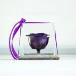 رز جاودان سنگ مربعی بنفش