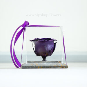 رز جاودان سنگ مربعی بنفش