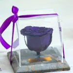 رز جاودان پایه سنگی به رنگ بنفش