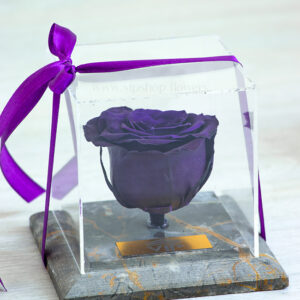 رز جاودان پایه سنگی به رنگ بنفش