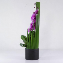 جعبه گل ارکیده بنفش (12)