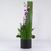 جعبه گل ارکیده بنفش (15)